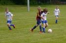 f2_040614_13_20140604_1930050591.jpg